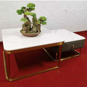 Ban-tra-sofa-bt03